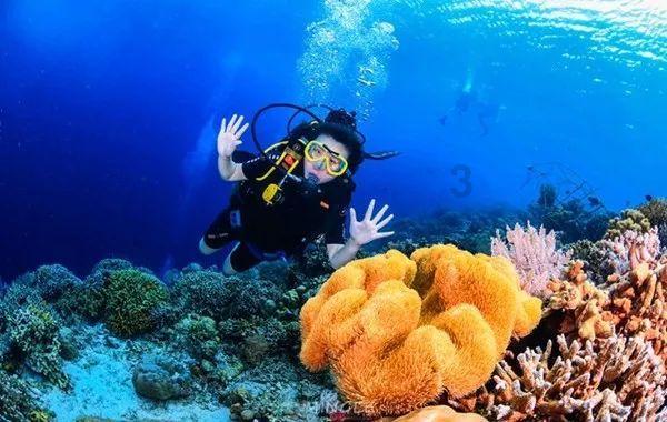 五彩斑斓的线